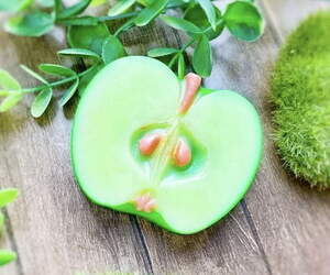 Пластиковая форма 