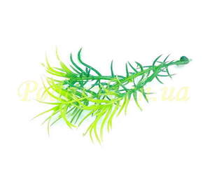 Веточка зелени пушистая