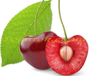 Масло вишневих кісточок, холодний віджим