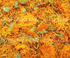 Сухоцвіт - Календули