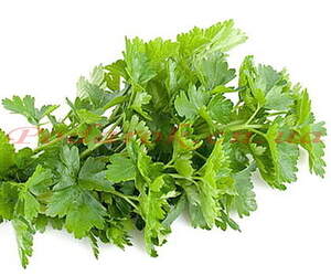 Екстракт петрушки