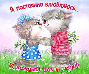 Картинка 107