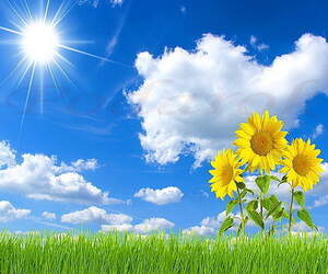 Картинка 125