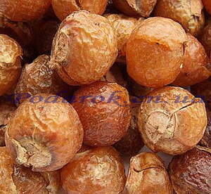 Мильні горіхи