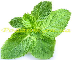 М'ятна вода (запашна)