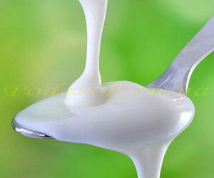 йогурт концентрат