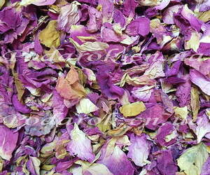 Сухоцвіт Троянди