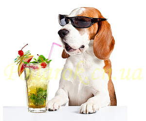 Картинка 304