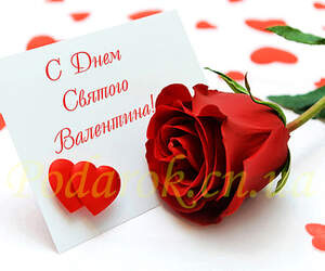 Картинка 306