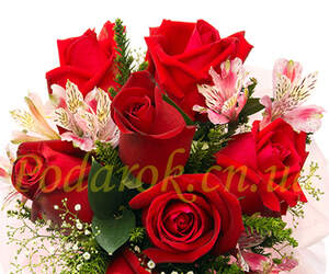 Картинка 315