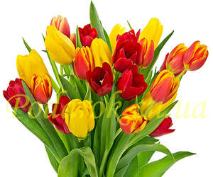 Картинка 326