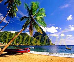 Картинка 330