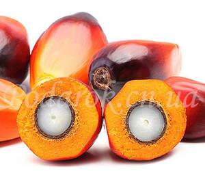 Олія пальмоядрова Олія пальмоядрова