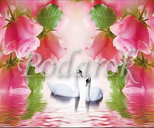 Картинка 372