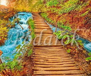 Картинка 382