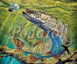 Картинка 384