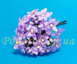 Незабудка міні бузкова