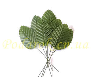 Листочок зелений