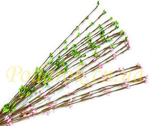 Гілочка з бутончиками