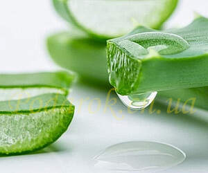 Концентрат Алое вера 1: 1