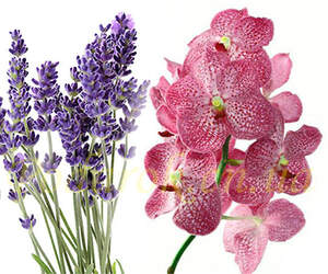 Отдушка Отдушка