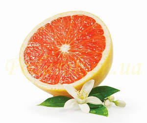 Отдушка Отдушка