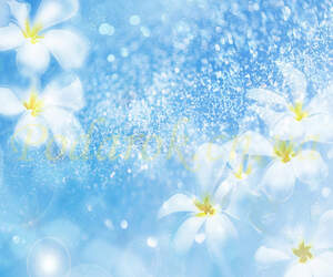 Отдушка Отдушка