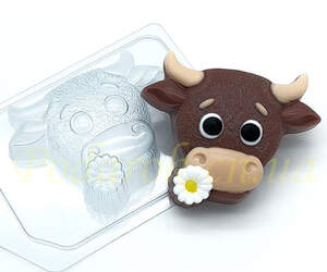 Пластикова форма Пластикова форма