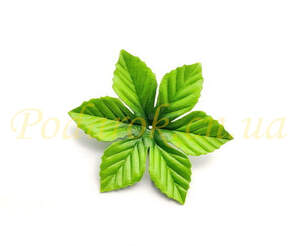 Листочок шестерний d12см