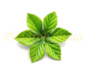 Листочок шестерний d15см