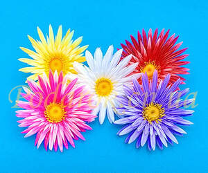 Ромашка пластикова d8см