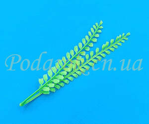 Гілочка зелені Колосок