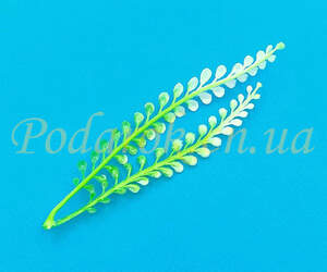 Гілочка зелені Колосок весняний
