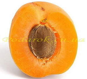 Олія абрикосових кісточок, холодний віджим Олія абрикосових кісточок, холодний віджим