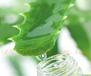 Олія Алое - Батер Олія Алое - Батер