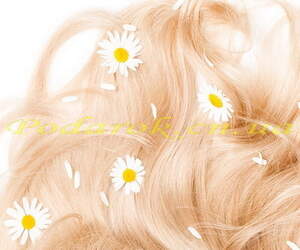 гідролат ромашки