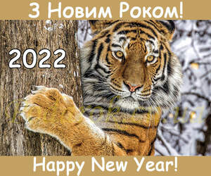 Картинка 409