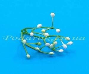 Гілочка з білими тичинками