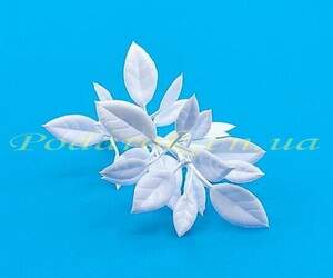 Гілочка з листочками біла