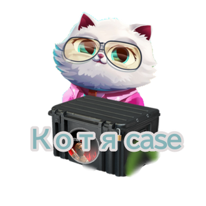 Котя case