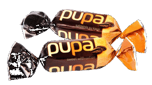 шок цук PUPA ВАГОВІ 1000 г