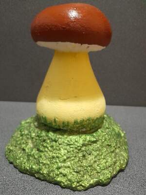 Гриб  Боровик