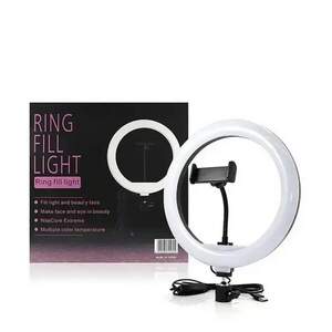 Кільцева світлодіодна лампа 10