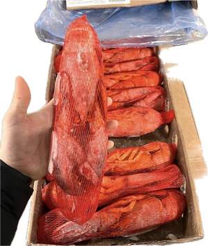 Лобстер (омар) 350/400