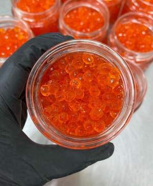 Ікра кети охолоджена А+