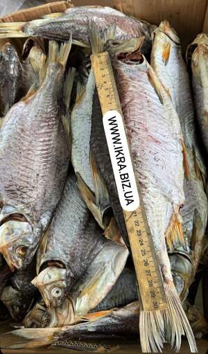 Плотва з ікрою 2шт/кг