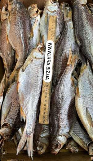 Плотва з ікрою 4шт/кг