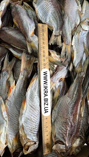 Плотва з ікрою 7-10шт/кг