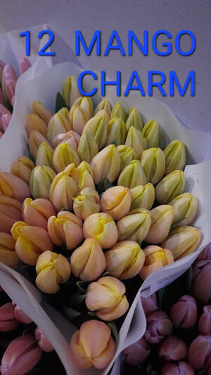 12 Mango Charm