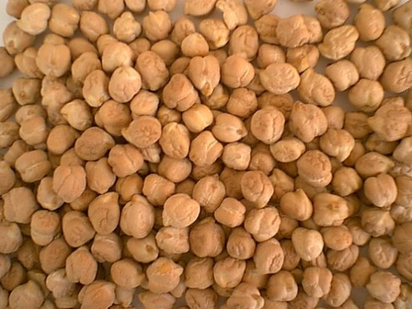 Куплю Кориандр, нут, чечевицу, расторопшу